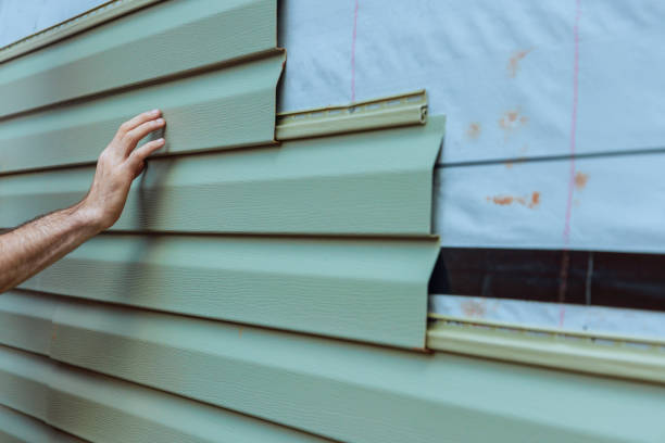 Best Stone Veneer Siding  in Sneedville, TN